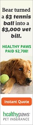 Healthy Paws Pet Insurance